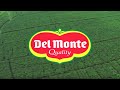 Fresh Del Monte Produce Inc. Corporate Video