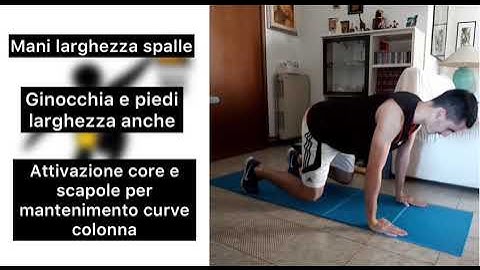 Quadruped Stabilization