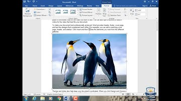 Microsoft word Pashto: Part 14: مایکروسافټ ورډ پښتو: څوارلسمه برخه