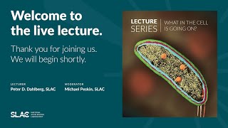 SLAC PUBLIC LECTURES: What In The Cell Is Going On?