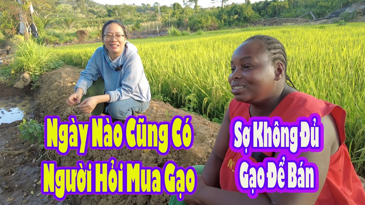 Dự án kinh doanh lúa gạo của Maria đầy bất ngờ|| 2Q Vlogs Cuộc Sống Châu Phi