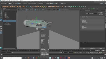 ANI 255 Module 09 Spring Constraint