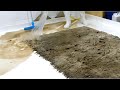 Transforming a really filthy carpet into a flawless one