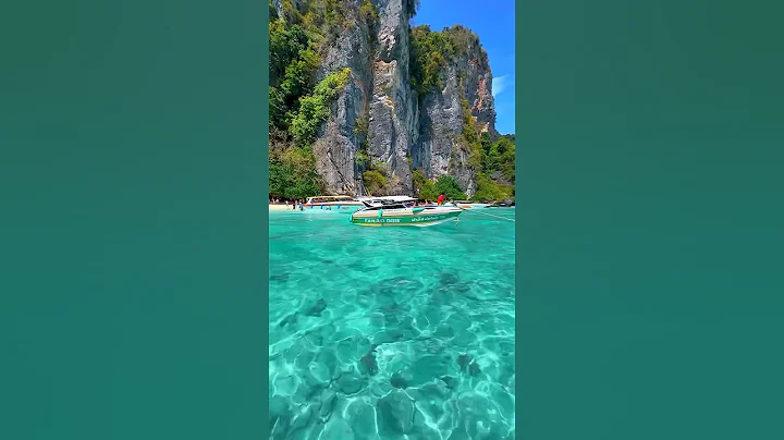 Monkey Bay 🥥 Koh Phi Phi 🇹🇭 #thailand #travel #beach #krabi #paradise #nature #fyp #vacation