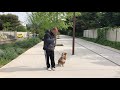 Educateur canin la ciotat Toutoucool13