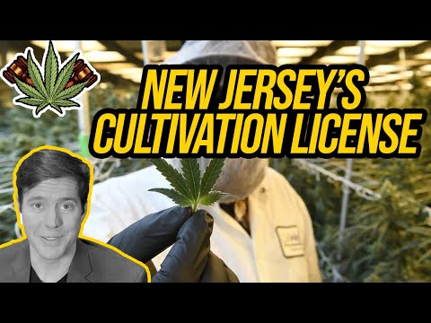 New Jersey Cannabis Cultivation License | Getting a Cannabis License in New Jersey