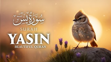 Surah Yasin (Yaseen) سورة يس | This MARVELOUS Voice will TOUCH Your HEART إن شاء الله | Roohi TV