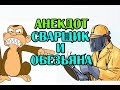 АНЕКДОТ ПРО СВАРЩИКА И ОБЕЗЬЯНУ, Anecdote