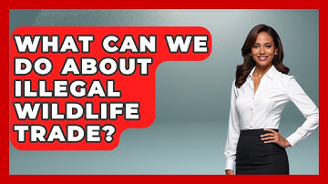 What Can We Do About Illegal Wildlife Trade? - Explaining Ecology