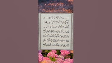 سورة البقرة بصوت الشيخ سعد الغامدي