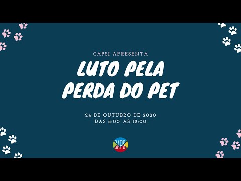 Vídeo: Grupo de luto dos pais do animal de estimação para fornecer apoio antes, durante e após a perda do animal de estimação