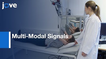 Multi-Modal Signals: Analyzing Pain Responses To Thermal & Electrical Stimuli l Protocol Preview