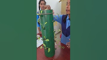 A beautiful model on Sustainable Agriculture 🌱 #science #reels #school #experimnent #mathplanet #ok