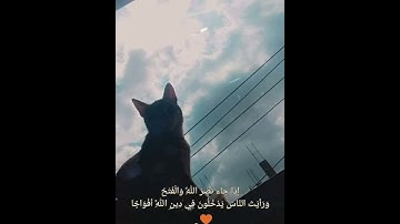 سورة النصر 💐 #أجمل_صوت