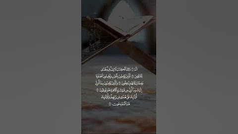 القرآن الكريم بصوت الشيخ علاء عقل