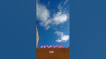 تلاوة خاشعة #اكسبلور #تيك_توك #المصحف #لايك #راحة_نفسية #ترند #يوتيوب #تصويري @hasalaih