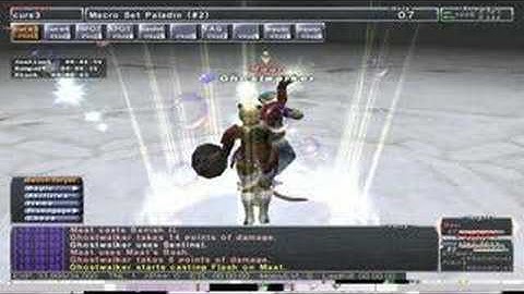 Mithra Paladin Maat Fight (FFXI)