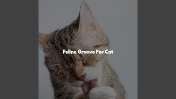 Tranquil Moods for Open Work Floors