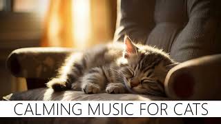 RELAXING Music for Kittens, reduce anxiety, white noise ❤️😺