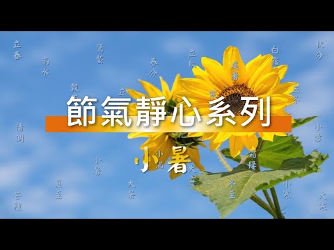 小暑靜心 l 節氣靜心系列16 ＃邀請您一起走在光中＃光的課程全系列帶領人陳星宇＃線上共修光課＃個人自修光課＃付費課程請洽詢 allinyours.com@gmail.com