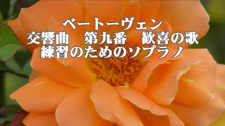 ベートーヴェン　第九　歓喜の歌　練習のためのソプラノ　(歌詞付)　BEETHOVEN-Symphony No 9-Soprano