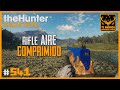 RIFLE AIRE COMPRIMIDO "VASQUEZ CYCLONE .45" EN TE AWAROA | 🦌theHunter: CotW #541