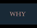 Stas Shurins - Why