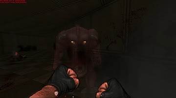 Wonderful Doom E4M3 # Brutal Doom & Reshade