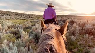 ASMR Horse Horseback Riding Hooves Dirt Road Sage Creaking Saddle Leather Sunset Open Country  Grass