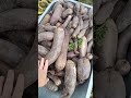 Не про растения, а про увлечения 😆😆😆