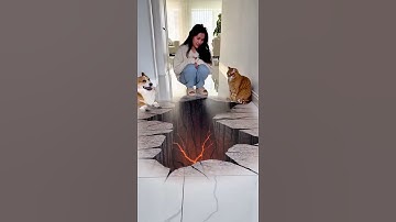 😱Dog vs. Cat IQ Test: Who is Smarter? Is My Corgi Broken?3D Optical Illusion Prank!#funny #catlovers