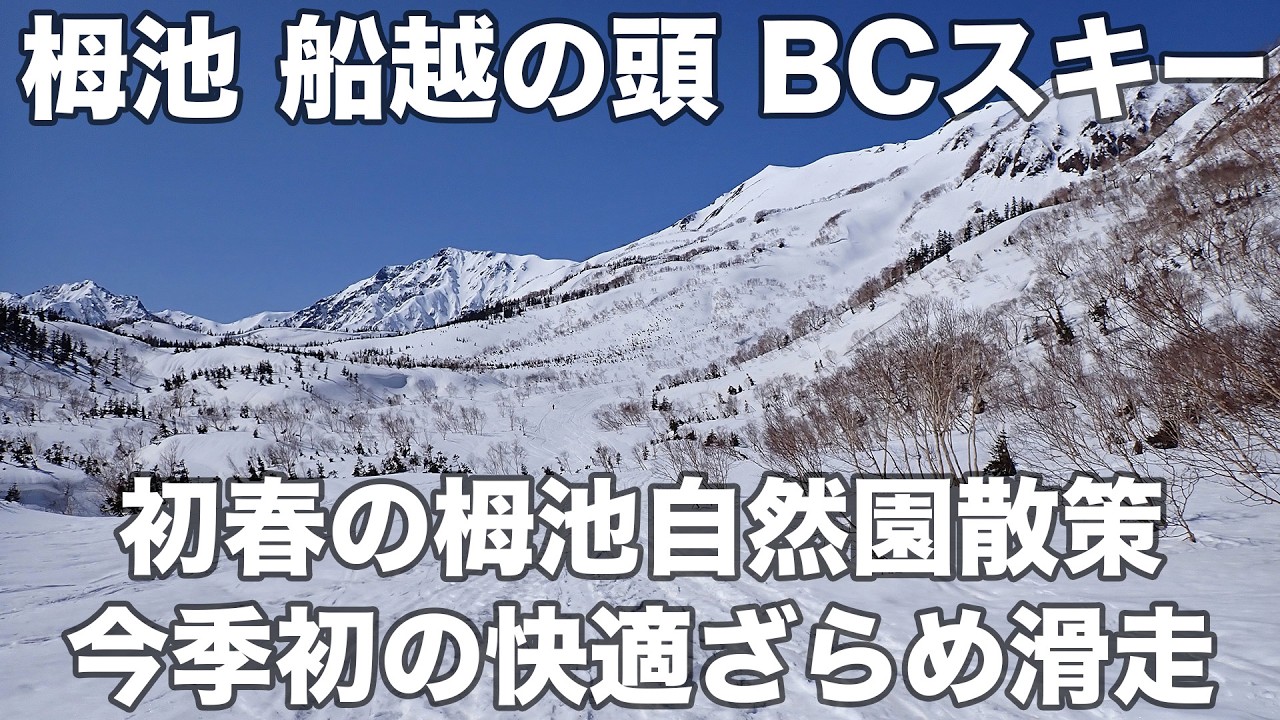 【速報】栂池 船越の頭 BCスキー 2026年3月1日 初春の栂池自然園散策、今季初の快適ざらめ滑走