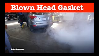 Signs of Blown Head Gasket by Auto Resource 762 views 10 months ago 4 minutes, 50 seconds