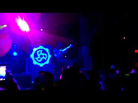 Jinjer Pisces Tempe