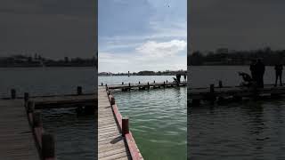 Suspect shot by police after crashing into lake, allegedly approached officer with knife