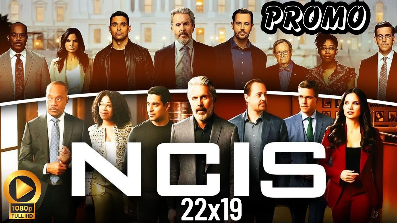 MOVB ncis！ NCIS: The Seventeenth Season, DVD NTSC,Subtitled 32429339812