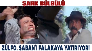 Şark Bülbülü Türk Filmi | Zülfo Ağa , Şaban'ı Falakaya Yatırıyor!