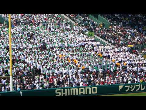 2018　選抜高校野球　乙訓高校の応援団風景（アゲアゲホイホイ）