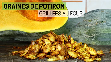 Quand semer les graines de potiron ?