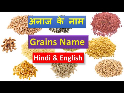 Grains in Hindi - Grains name in