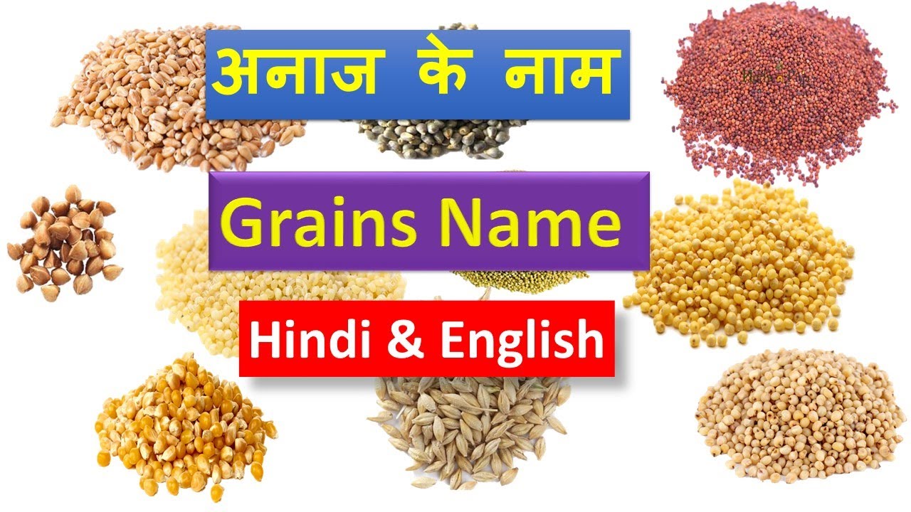 food grains essay in hindi