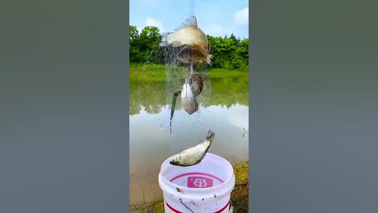 How to Use Fishing Net Trap to Fishing YouTube