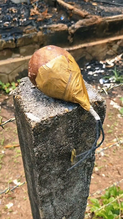 nadan bomb 💣💥| happy vishu 2k25 | crackers | watch till end 💥💥