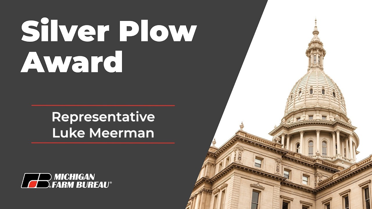 Silver Plow: Rep Meerman