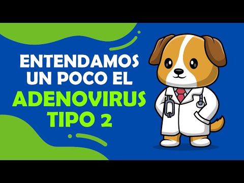 Video: Adenovirus canino tipo 2 (CAV-2)