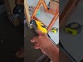 esse é um dos pássaros mais incrível #birds #foryou