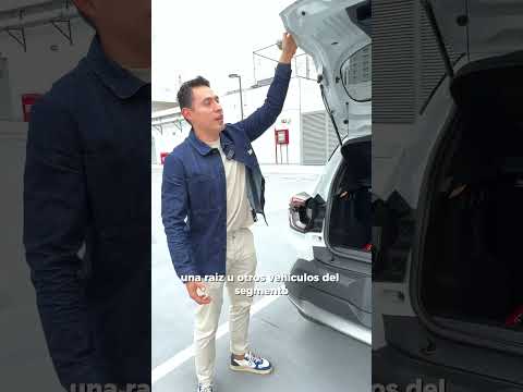 Renault KARDIAN - ¿deberías COMPRARLA?