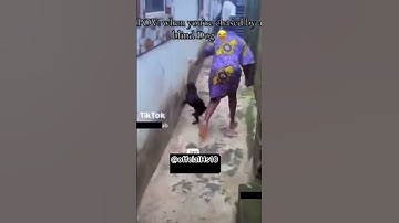 Thumbnail of Blind dog 🐕  😂😂😂 #foryou #funny #trending #shorts #dogs #dogshorts #fyp #goviral #youtube #daily