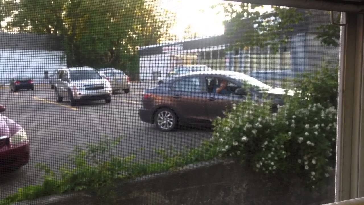 LIVING IN CANADA! |Jaime Kelley