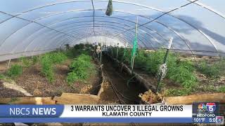 Over 3K marijuana plants seized during 3 raids at Klamath Forest Estates